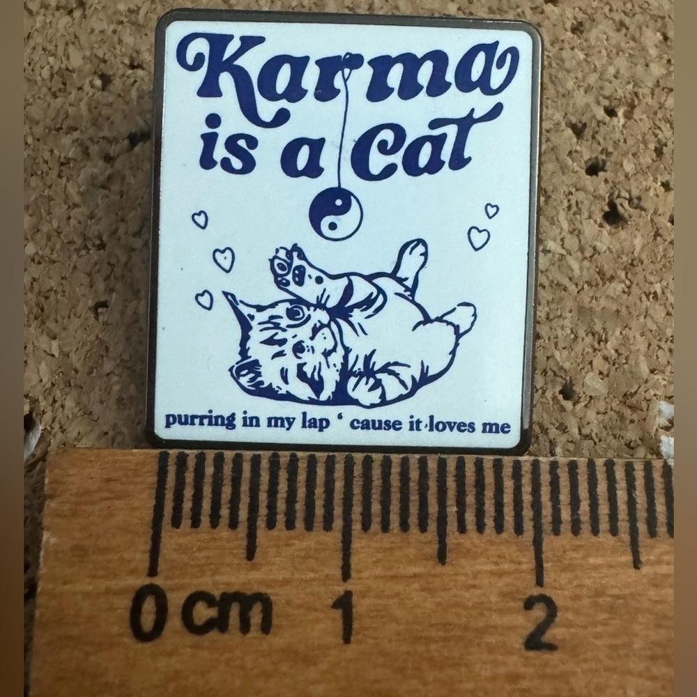 Cute Taylor Swift Inspired Midnights “Karma is a Cat” Enamel Pin - Picture 2 of 3